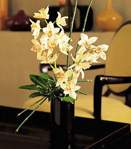  orum iek siparii vermek  cam yada mika vazo ierisinde dal orkide