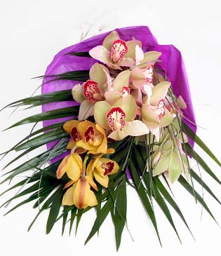  orum 14 ubat sevgililer gn iek  1 adet dal orkide buket halinde sunulmakta