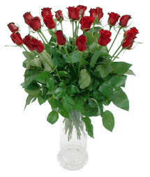  Çorum çiçek , çiçekçi , çiçekçilik  11 adet kimizi gülün ihtisami cam yada mika vazo modeli