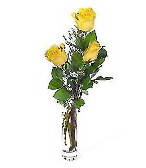  Çorum online çiçek gönderme sipariş  3 adet kalite cam yada mika vazo gül