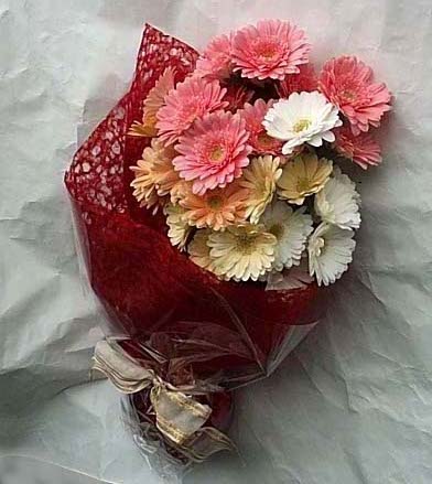 19 adet karisik gerbera buketi  Çorum uluslararası çiçek gönderme 