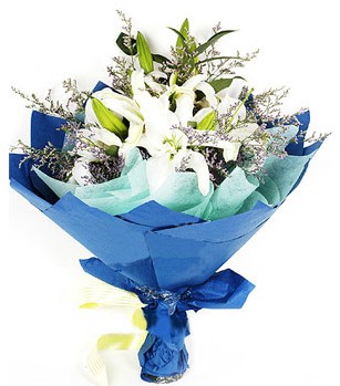  Çorum çiçek online çiçek siparişi  4 adet dal kazablankadan görsel buket