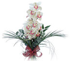  Çorum çiçekçiler  Dal orkide ithal iyi kalite
