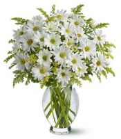 Vazo içerisinde beyaz krizantem çiçekleri  Çorum internetten çiçek satışı 