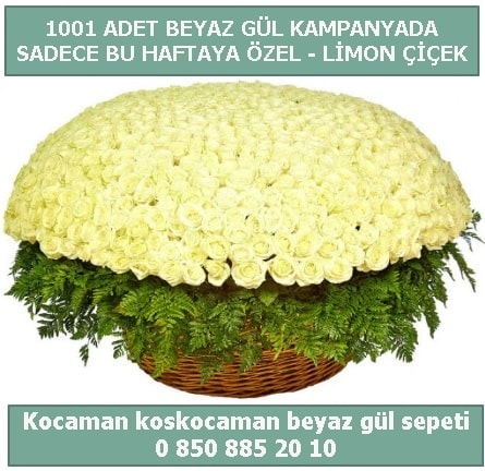 1001 adet beyaz gül sepeti özel kampanyada  Çorum çiçek gönderme 