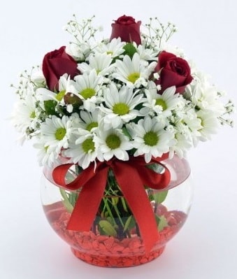 Fanusta 3 Gül ve Papatya  Çorum internetten çiçek siparişi 