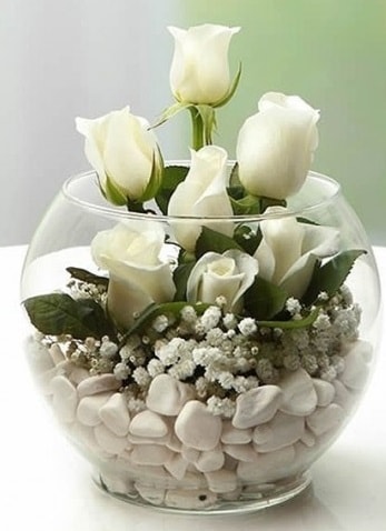 Beyaz Mutluluk 9 beyaz gül fanusta  Çorum çiçekçiler 